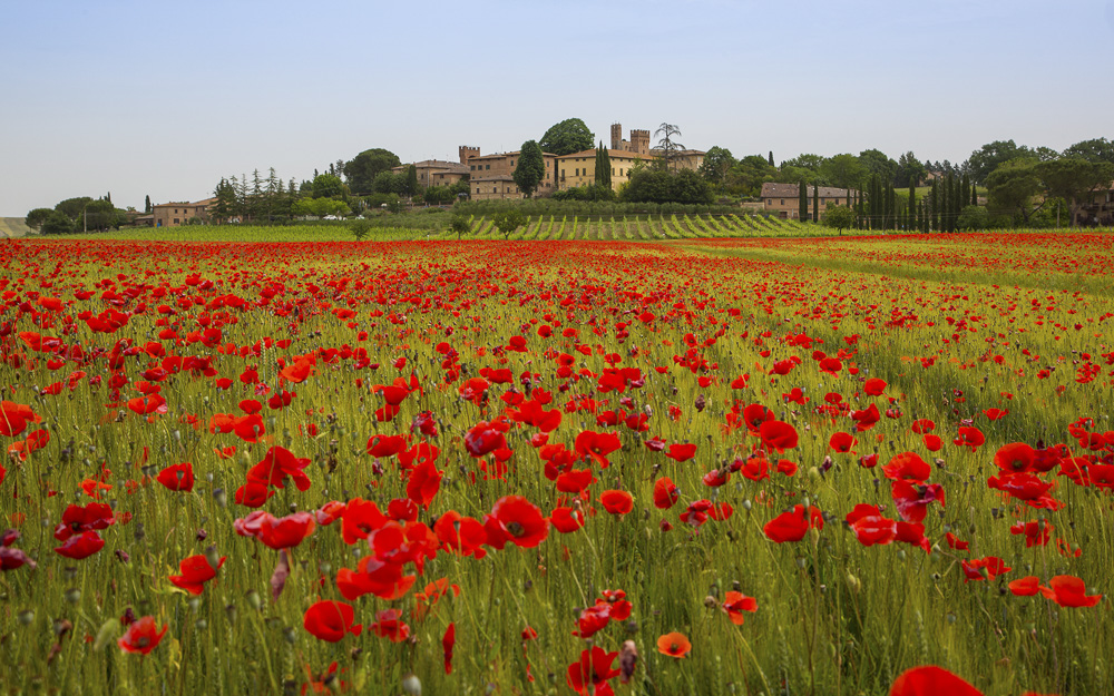 Platz 9 Willi Bitzer